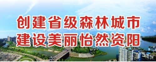 亚洲黑丝视频网创建省级森林城市 建设美丽怡然资阳