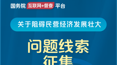 草逼cpm国务院“互联网+督查”平台公开征集阻碍民营经济发展壮大问题线索